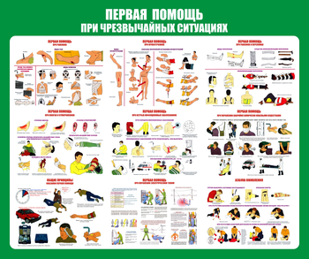 С20-1 Стенд Оказание первой помощи при ЧС (670х800 мм, пластик ПВХ 3 мм, Прямая печать на пластик) - Стенды - Стенды по первой медицинской помощи - Магазин охраны труда ИЗО Стиль