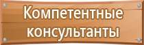 знаки пожарной безопасности пожарная лестница